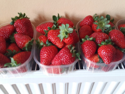 Većinu svježih jagoda prodaju na veliko