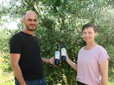 Simbioza maslina i pčela - OPG Bodiš