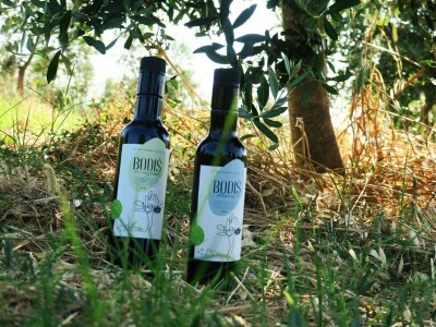 Simbioza maslina i pčela - OPG Bodiš