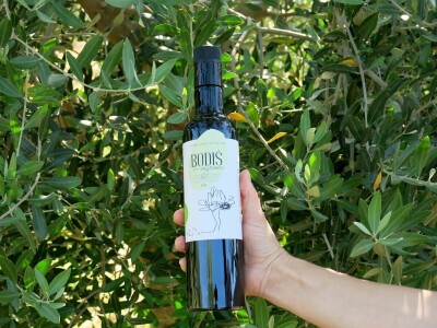 Simbioza maslina i pčela - OPG Bodiš