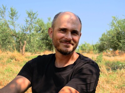 Simbioza maslina i pčela - OPG Bodiš