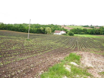 Farma Dejana Simića iz Grabik Ilove