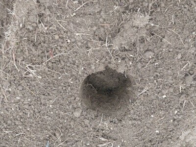 Simo Đukić Simo Đukić