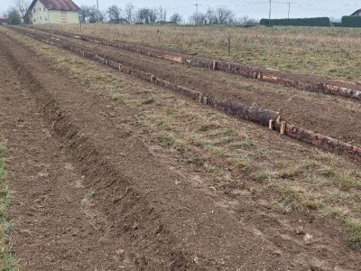 Simo Đukić Simo Đukić