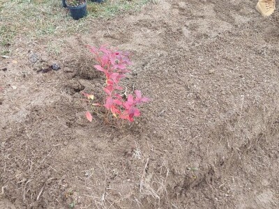 Simo Đukić Simo Đukić