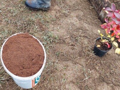 Simo Đukić Simo Đukić