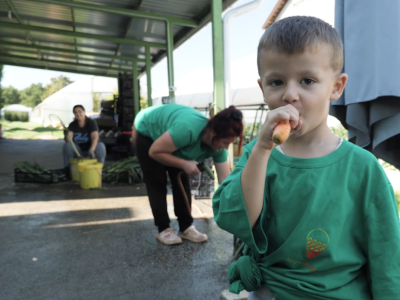 Proizvodnju počeo bez podrške, danas ne stiže zadovoljiti potražnju