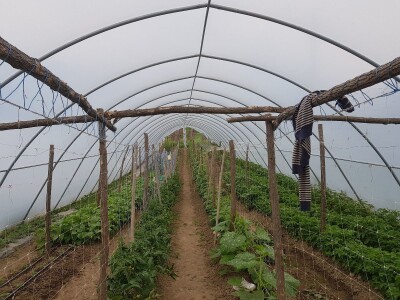 Sinanović: U poljoprivredi su uvijek potrebna nova ulaganja i praćenje trendova