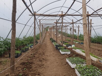 Sinanović: U poljoprivredi su uvijek potrebna nova ulaganja i praćenje trendova