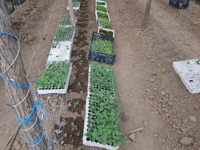 Sinanović: U poljoprivredi su uvijek potrebna nova ulaganja i praćenje trendova