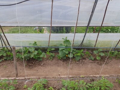 Sinanović: U poljoprivredi su uvijek potrebna nova ulaganja i praćenje trendova