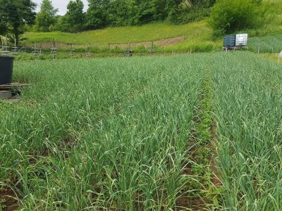 Sinanović: U poljoprivredi su uvijek potrebna nova ulaganja i praćenje trendova