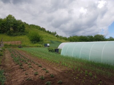 Sinanović: U poljoprivredi su uvijek potrebna nova ulaganja i praćenje trendova