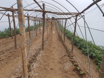 Sinanović: U poljoprivredi su uvijek potrebna nova ulaganja i praćenje trendova