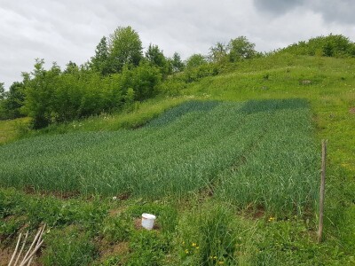 Sinanović: U poljoprivredi su uvijek potrebna nova ulaganja i praćenje trendova