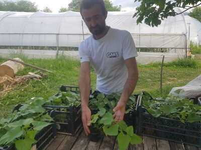 Sinanović: U poljoprivredi su uvijek potrebna nova ulaganja i praćenje trendova