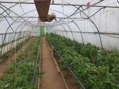 Sinanović: U poljoprivredi su uvijek potrebna nova ulaganja i praćenje trendova