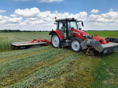 Čerba Donji Miholjac