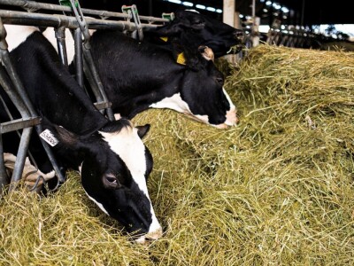 SIP kosilice i prikolice SIP kosilice i prikolice