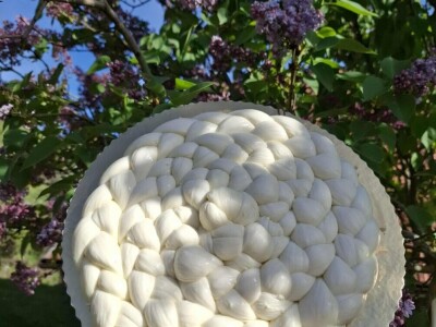 Sir janjska pletenica