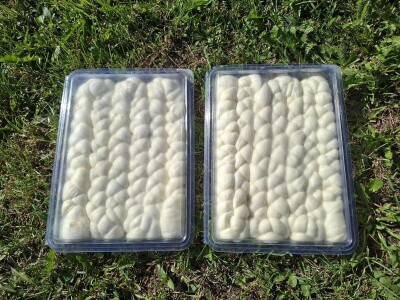 Sir janjska pletenica