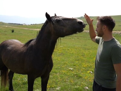 Sir, med i divlji konji spasili grad kojem je prijetio egzodus