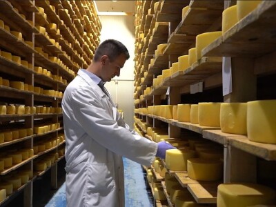 Sir, med i divlji konji spasili grad kojem je prijetio egzodus