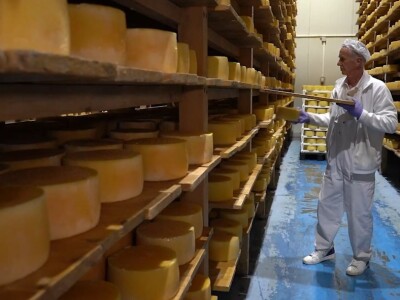 Sir, med i divlji konji spasili grad kojem je prijetio egzodus