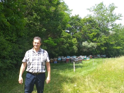 Sir, med i divlji konji spasili grad kojem je prijetio egzodus