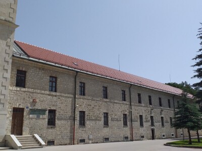 Sir, med i divlji konji spasili grad kojem je prijetio egzodus