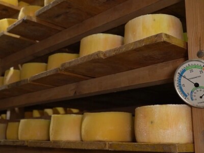 Sir, med i divlji konji spasili grad kojem je prijetio egzodus