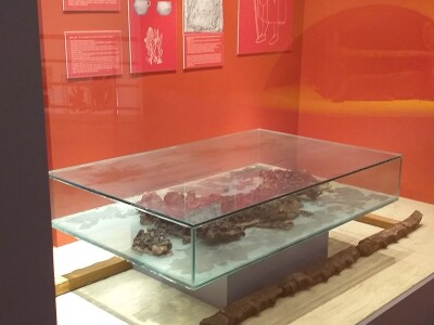 Sir, med i divlji konji spasili grad kojem je prijetio egzodus