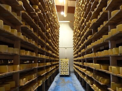 Sir, med i divlji konji spasili grad kojem je prijetio egzodus