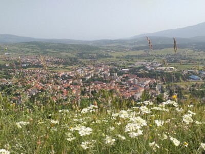Sir, med i divlji konji spasili grad kojem je prijetio egzodus