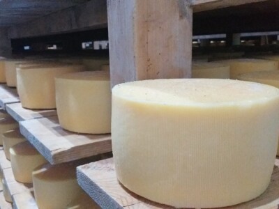 Sir, med i divlji konji spasili grad kojem je prijetio egzodus