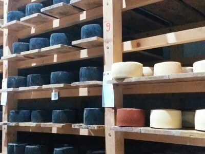 Sir, med i divlji konji spasili grad kojem je prijetio egzodus