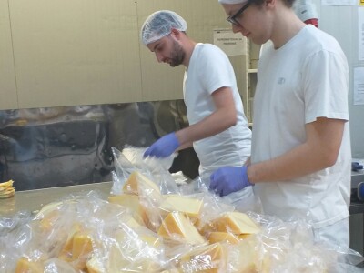 Sir, med i divlji konji spasili grad kojem je prijetio egzodus