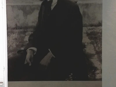 Sir, med i divlji konji spasili grad kojem je prijetio egzodus