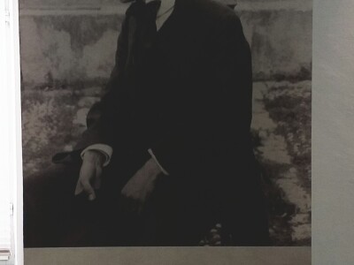 Sir, med i divlji konji spasili grad kojem je prijetio egzodus