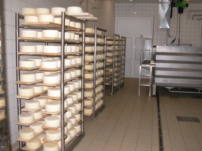 Sir Puđa u predzrionici