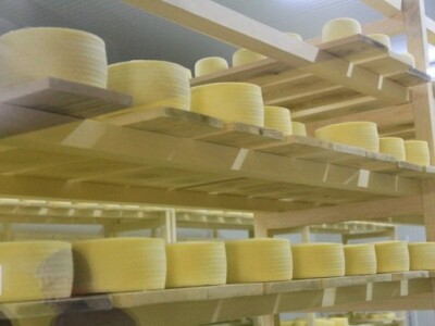 Poznati lički sir škripavac