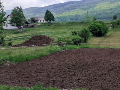 Sirana Anić - Krasno