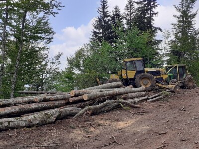 Sirana Anić - Krasno