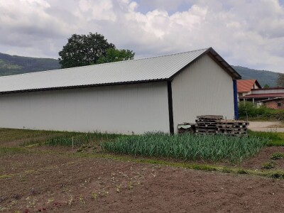 Sirana Anić - Krasno