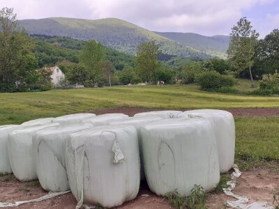 Sirana Anić - Krasno