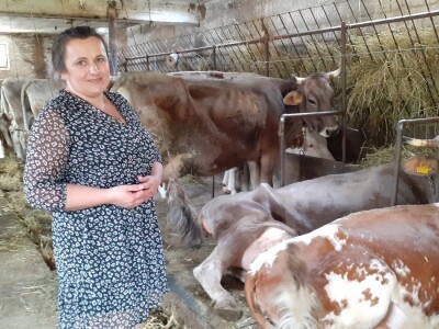 Sirana Anić - Krasno