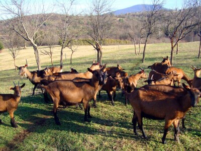 Sirana Jagarka Sirana Jagarka