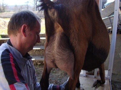 Sirana Jagarka Sirana Jagarka