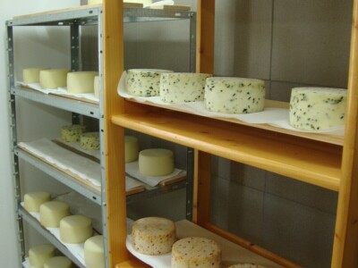 Sirana Jagarka Sirana Jagarka