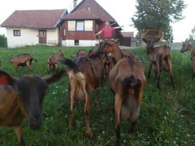 Sirana Jagarka Sirana Jagarka